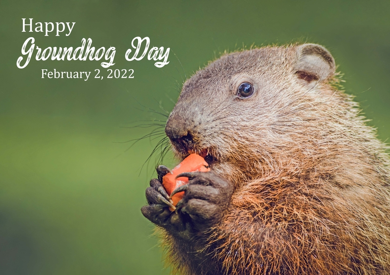 science,, it’s Groundhog day! Saskatchewan Country CJNB